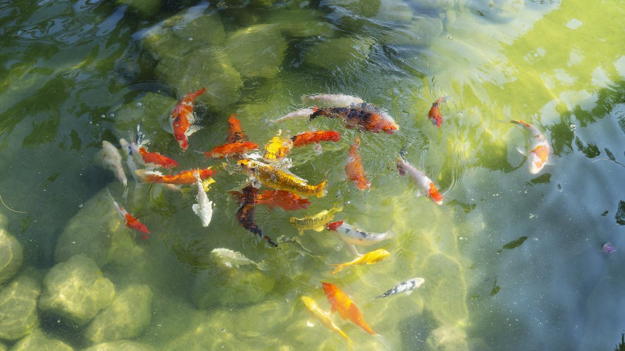 Pisces Garden B&B Checheng Exteriör bild